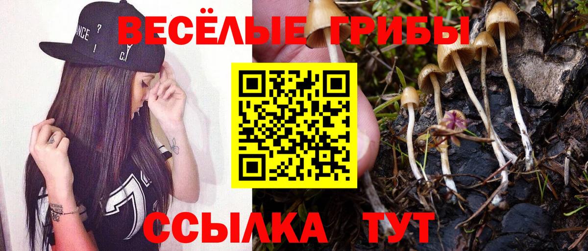 Галлюциногенные грибы Cubensis Кирово-Чепецк