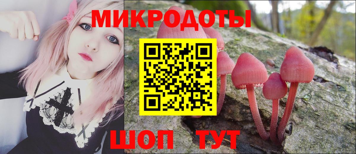Псилоцибиновые грибы GOLDEN TEACHER  закладка  Кирово-Чепецк  Галлюциногенные грибы MAGIC MUSHROOMS  Вход с VPN 